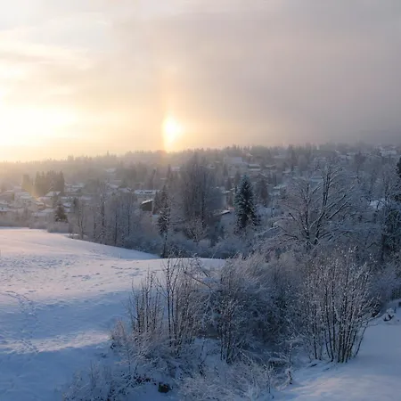 Apartamento Edelweiss Lanezzi Flims