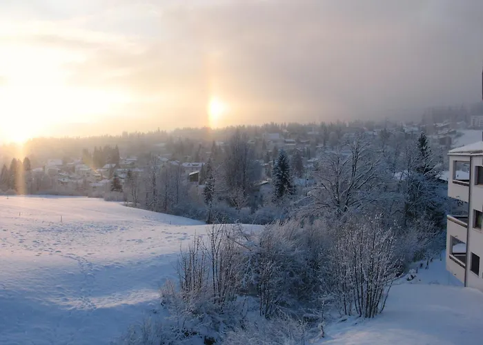 Apartment Edelweiss Lanezzi Flims